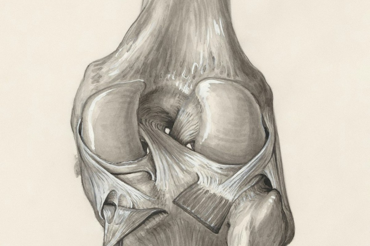 의사 100명도 부모님 무릎 관절염엔 '이것'부터! 안전·가성비 최우선 치료법 ✅ - 이미지 2