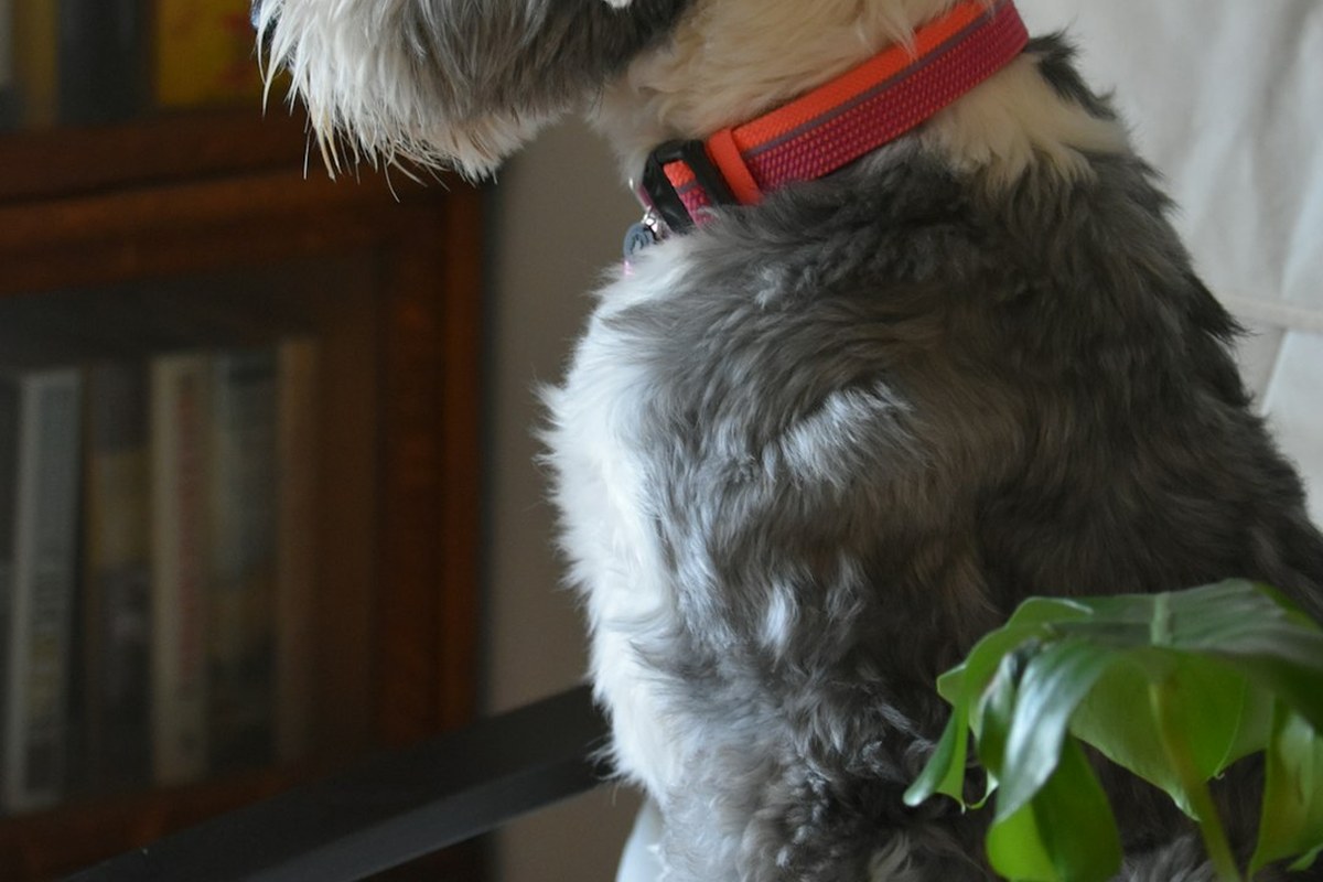 24시간 환자 안전 지킴이! 삼성서울병원 'AI 스마트병실' 전격 공개 ✅ - 이미지 2