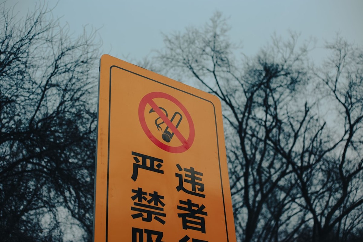 🚬 담뱃갑 경고 그림·문구 확 바뀐다! '아기 병들게 하는 길', '흡연의 끝은 폐암'…금연 효과 UP! ✅ - 이미지 2