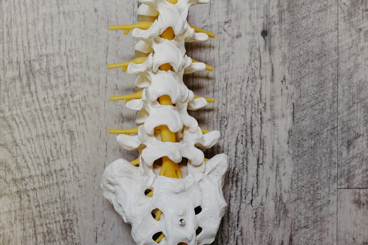 꼬리뼈 통증, 오래간다면? 생활 습관부터 점검하세요! 💡✅ - 이미지 2