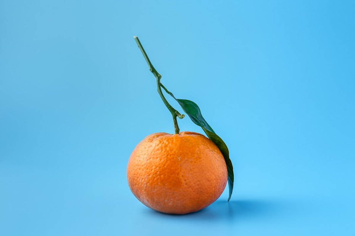 과일, '천연 비타민'의 배신? 🍎 간 건강 직격탄! 밀가루보다 해로운 과당의 진실 ⚠️ - 이미지 3