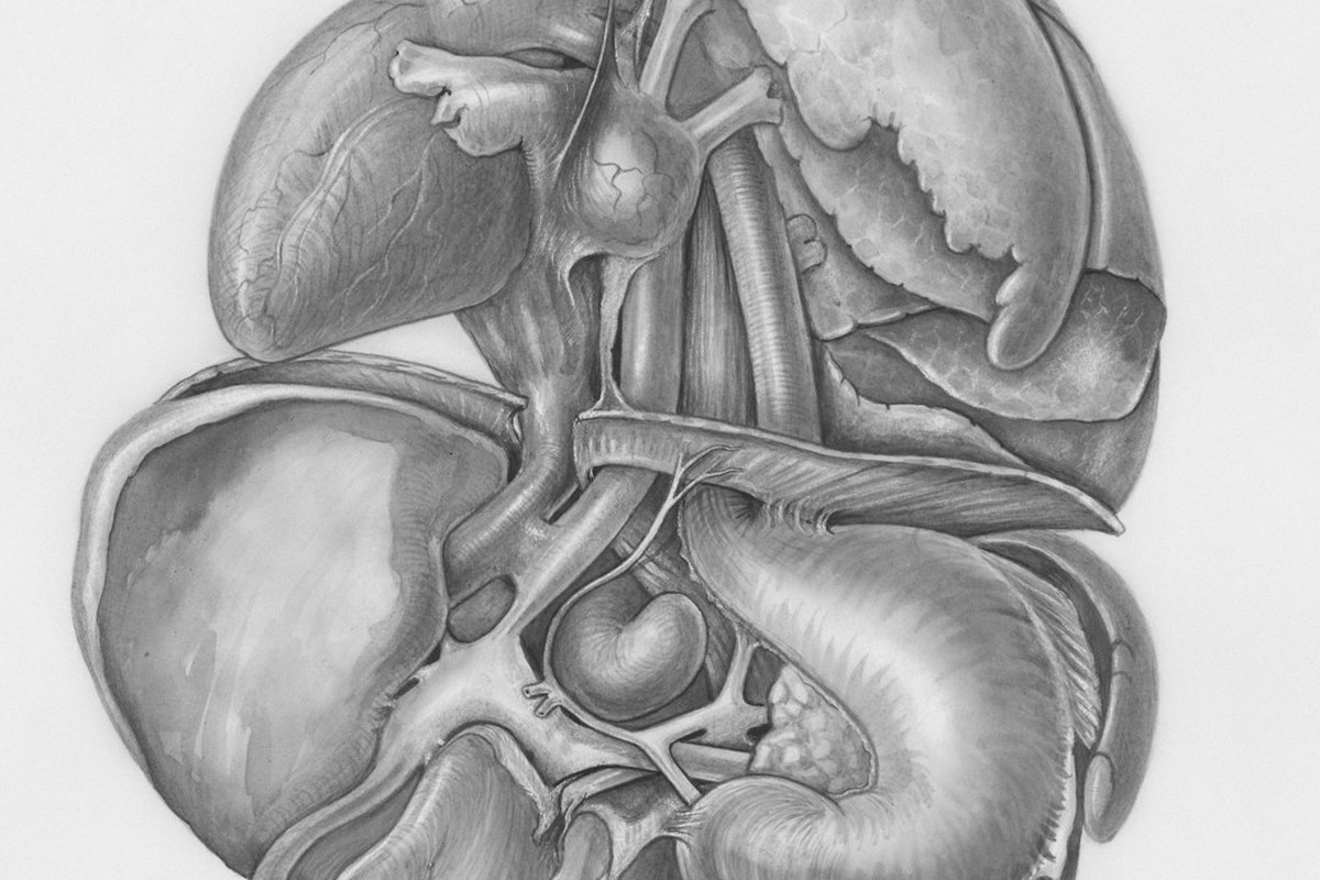간 건강, 술만 보지 마세요! 이상지질혈증도 함께 관리해야 하는 이유 ✅ - 이미지 3