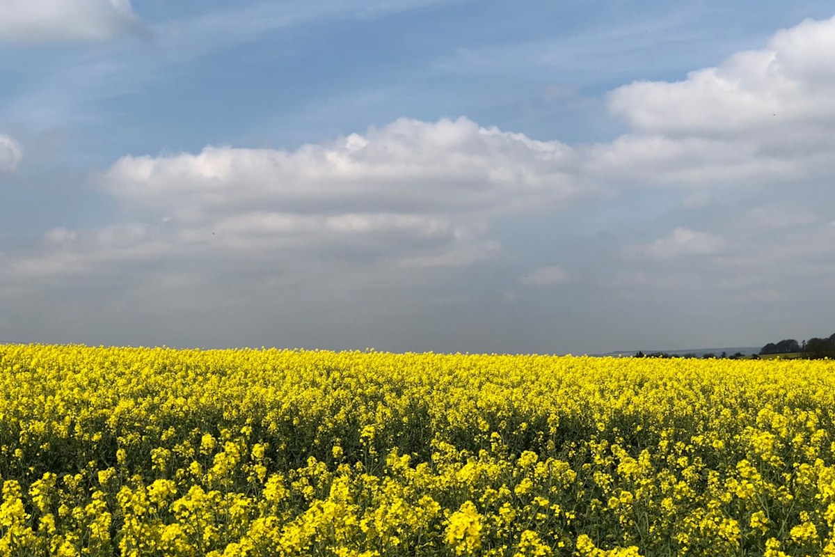 🌸 봄철 돌연사 주의보: '몸속 시한폭탄' 대동맥박리, 증상과 예방법 완벽 정리 ✅ - 이미지 3