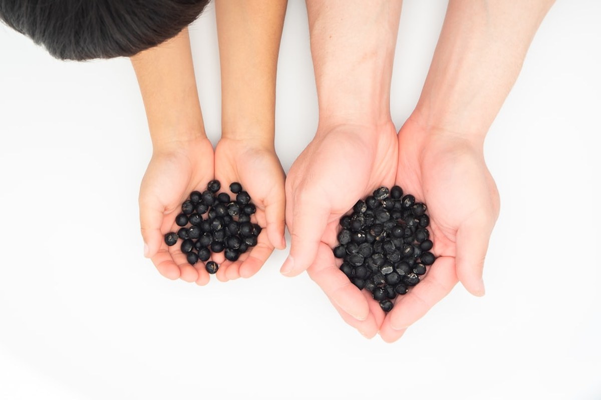 🩸혈관 청소부? 🩺혈당 조절? 검은콩의 놀라운 효능 5가지와 똑똑한 섭취법 ✅ - 이미지 3