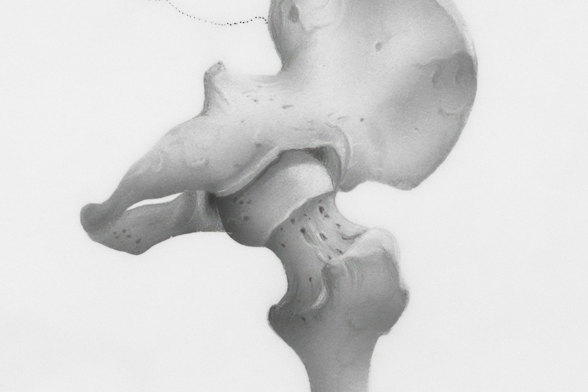 🏃‍♀️ 요즘 인기 운동, 고관절에 '이런' 부담 준다고? ⚠️ 조심하세요! - 이미지 3