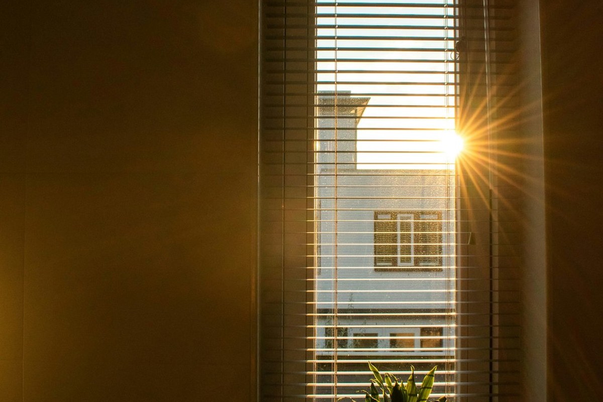 ☀️ 아침 습관의 비밀: 소화 의사들이 추천하는 ‘이 음료’로 하루 시작하기 ✅ - 이미지 3