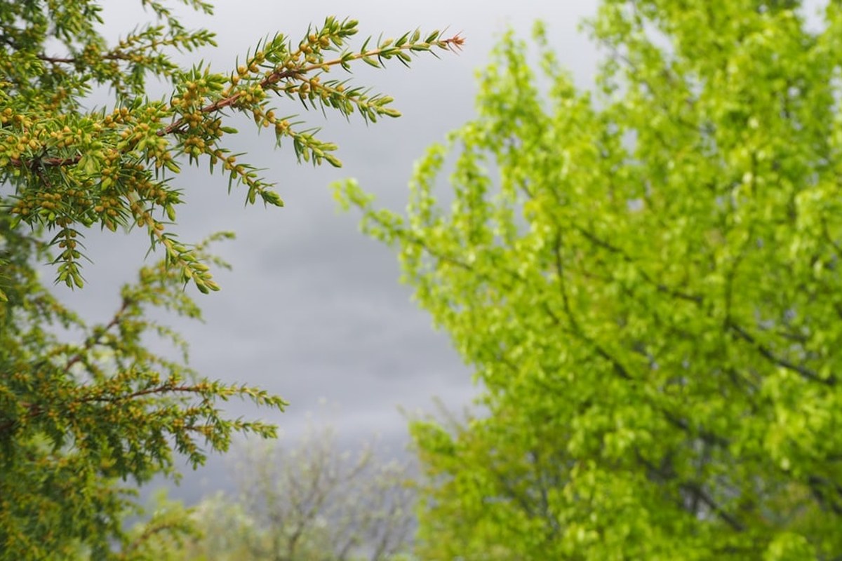 🌸 봄철 돌연사 주의보: '몸속 시한폭탄' 대동맥박리, 증상과 예방법 완벽 정리 ✅ - 이미지 4