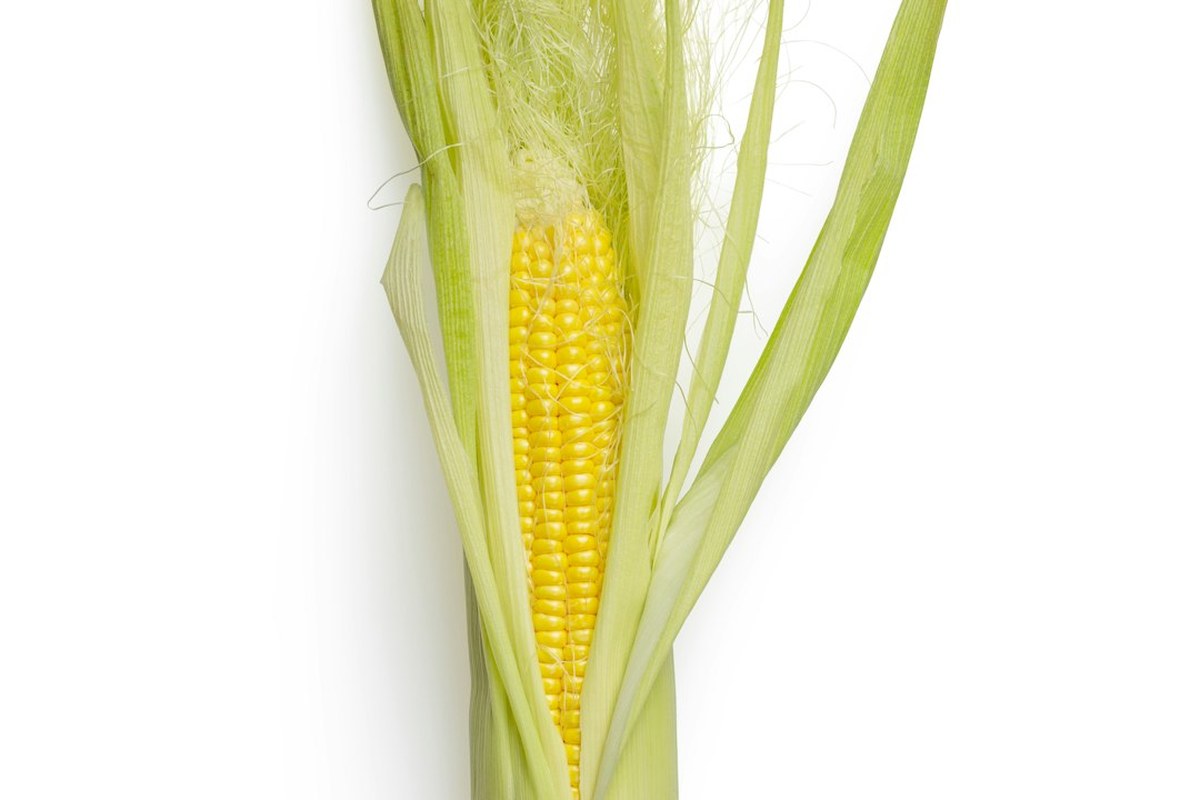 귀지, 파지 마세요! 귓속 방어막의 비밀과 난청 위험 ✅ - 이미지 4