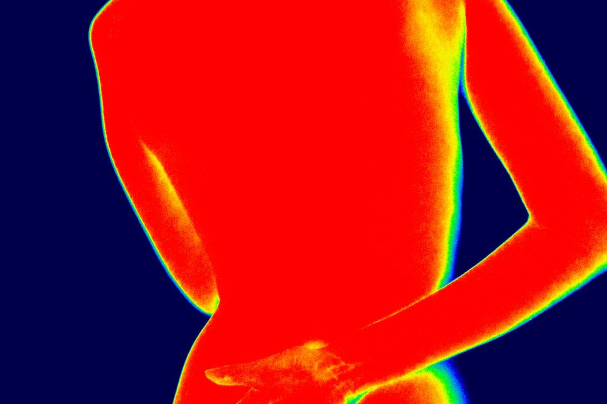 튼튼한 허리, 뱃살 고민 끝! 기립근 강화로 통증 잡는 비법 ✅ - 이미지 4