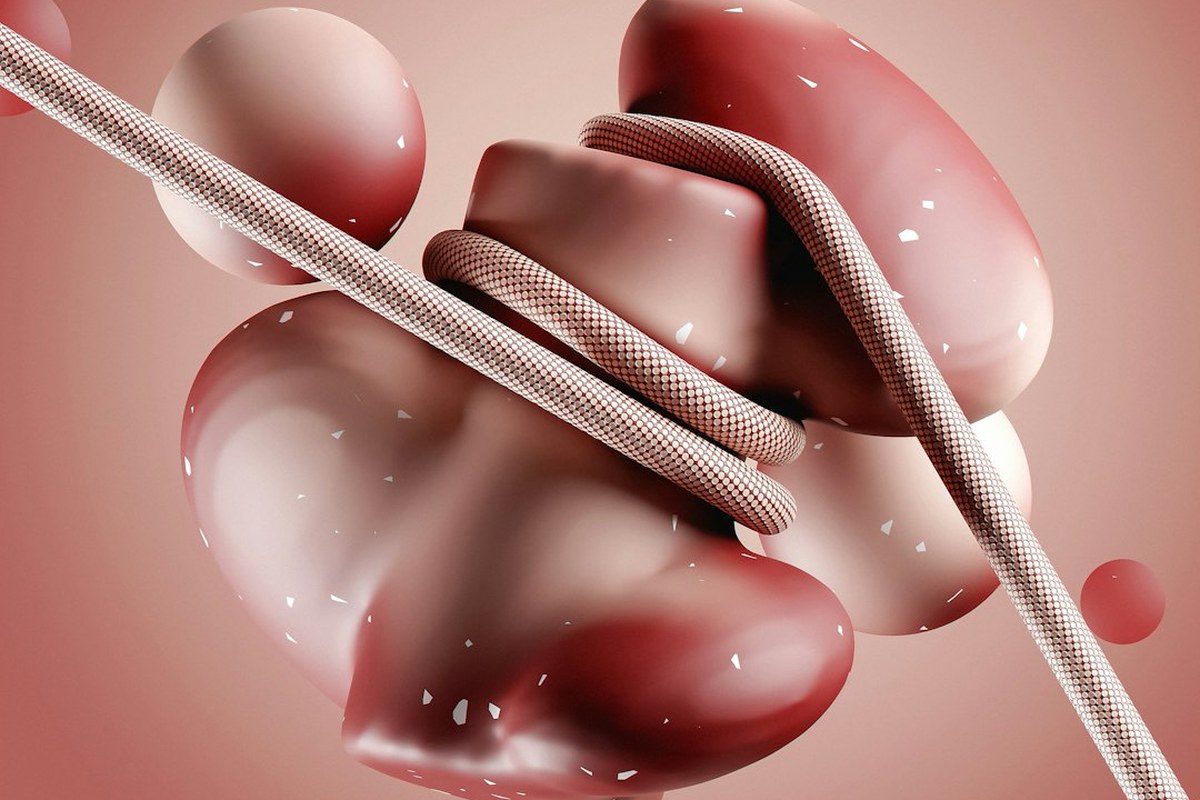 ✅ 혈액형 달라 괜찮아! 신장 이식, 희망을 잇는 '탈감작 요법'의 놀라운 진화 💡 - 이미지 4