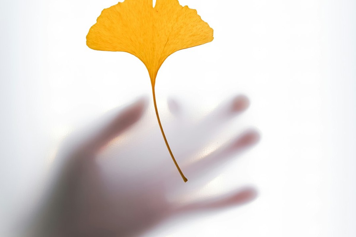 💊 비만약 복제약 홍수 속 '주의보'! 저렴해진 가격, 안전한 복용법은? ✅ - 이미지 4