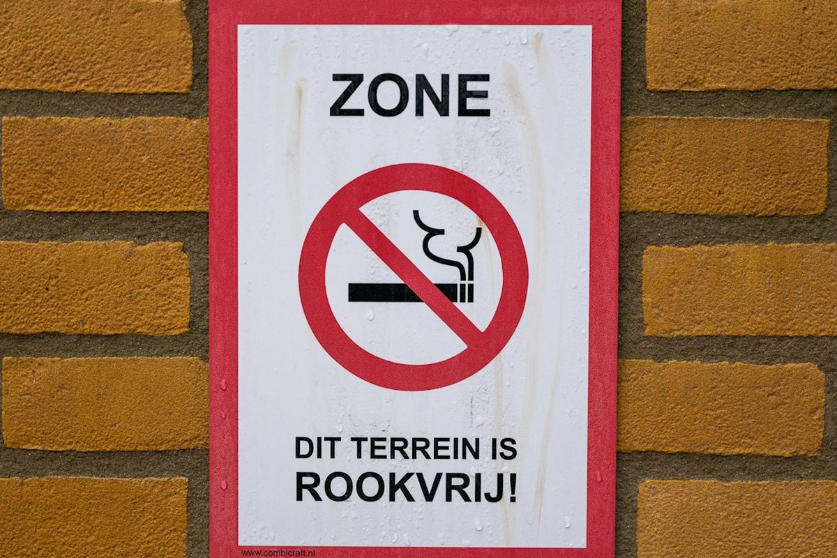 🚬 담뱃갑 경고 그림·문구 확 바뀐다! '아기 병들게 하는 길', '흡연의 끝은 폐암'…금연 효과 UP! ✅ - 이미지 4