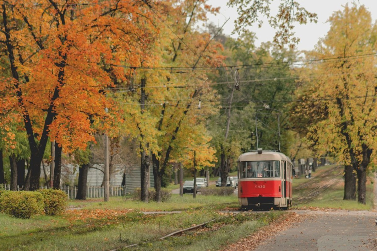 🤯 잊지 못하는 기억의 비밀: 과잉기억증후군, 당신도 겪고 있나요? 💡 - 이미지 4