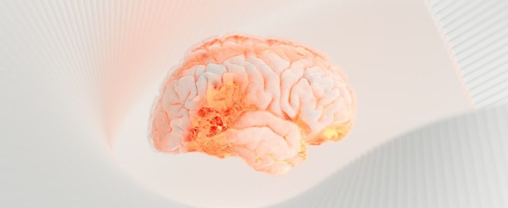 뇌출혈 응급상황, 강인 덕분에 산 이진호! 🚨 생명 구한 골든타임과 뇌출혈 예방법 ✅