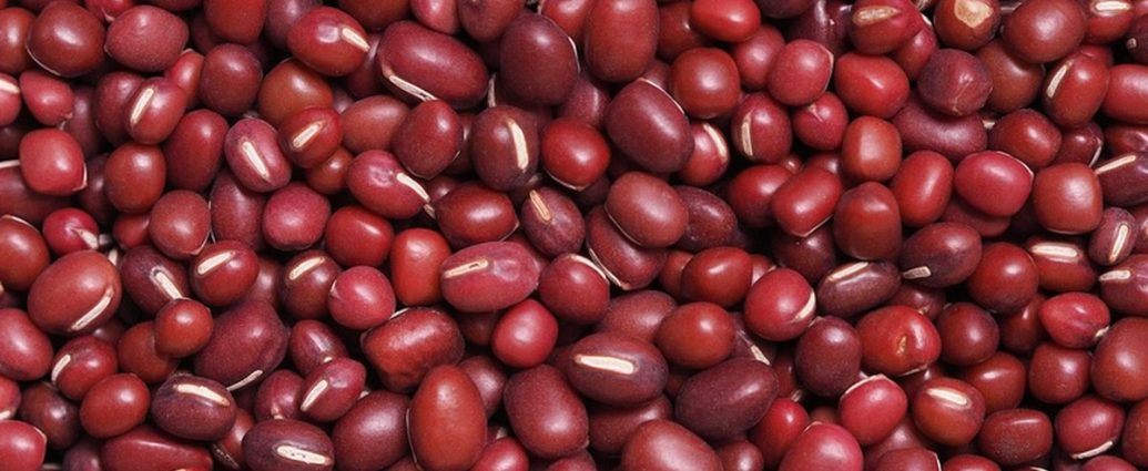 "몸속 찌꺼기 못 빼면 병 된다"⋯'이것' 하나로 해독·순환·당뇨 싹 잡는다