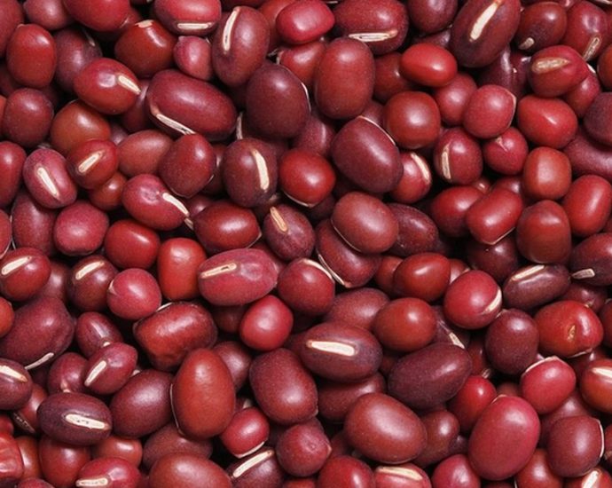 "몸속 찌꺼기 못 빼면 병 된다"⋯'이것' 하나로 해독·순환·당뇨 싹 잡는다