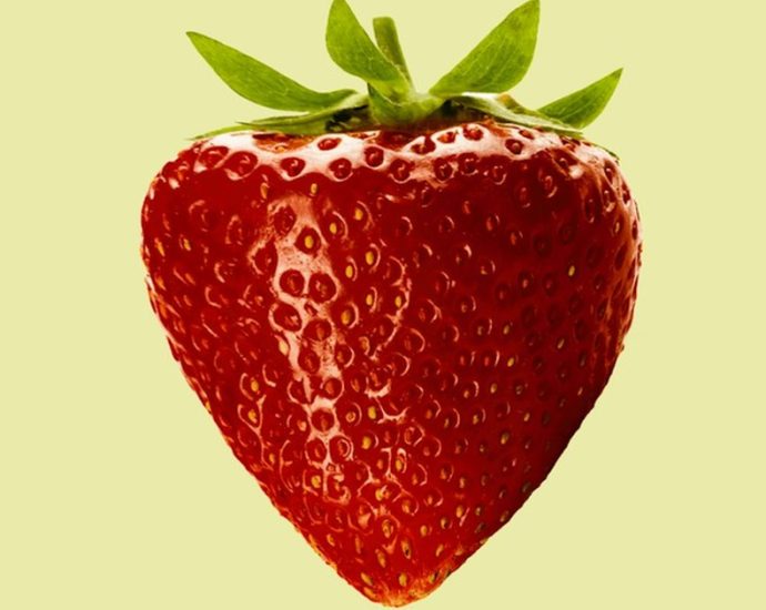 과일, '천연 비타민'의 배신? 🍎 간 건강 직격탄! 밀가루보다 해로운 과당의 진실 ⚠️