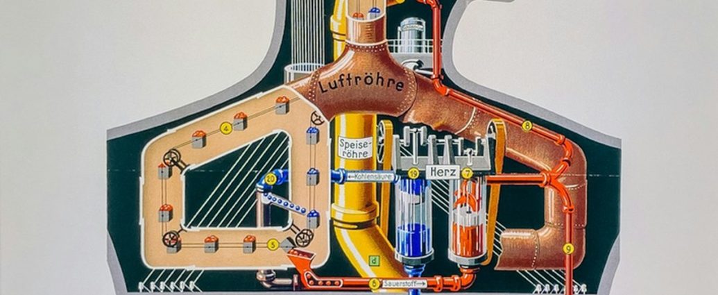 간 건강, 술만 보지 마세요! 이상지질혈증도 함께 관리해야 하는 이유 ✅
