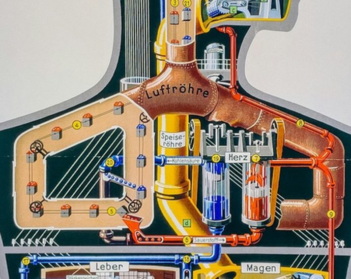 간 건강, 술만 보지 마세요! 이상지질혈증도 함께 관리해야 하는 이유 ✅