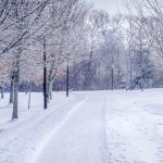 🌸 꽃샘추위 주의보! 뇌출혈·심근경색 위험, 이 질환들 놓치지 마세요! ⚠️