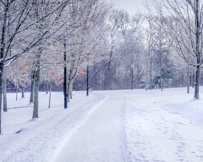 🌸 꽃샘추위 주의보! 뇌출혈·심근경색 위험, 이 질환들 놓치지 마세요! ⚠️