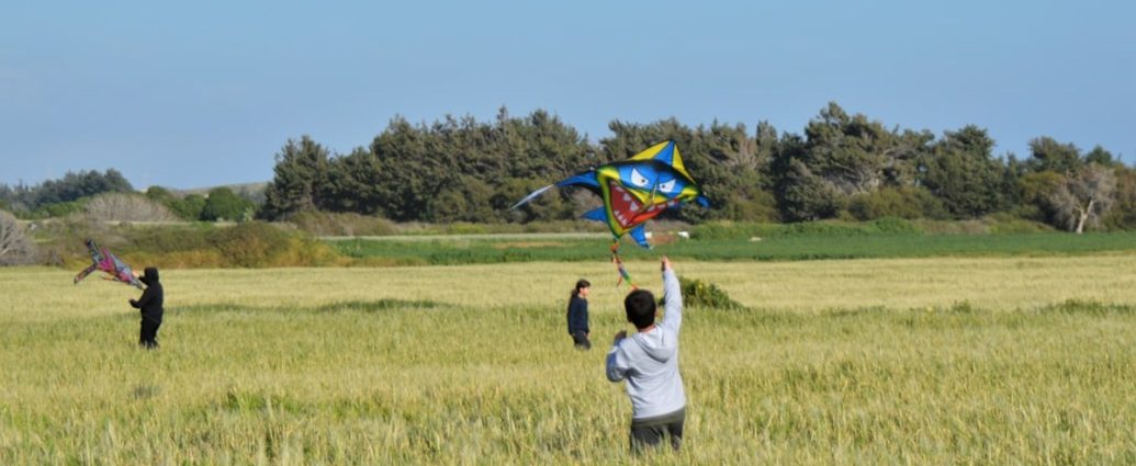 🌸봄철 목 건강 비상! 쓴맛 없는 필름형 프로폴리스로 환절기 면역력 UP! ✅