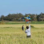 🌸봄철 목 건강 비상! 쓴맛 없는 필름형 프로폴리스로 환절기 면역력 UP! ✅