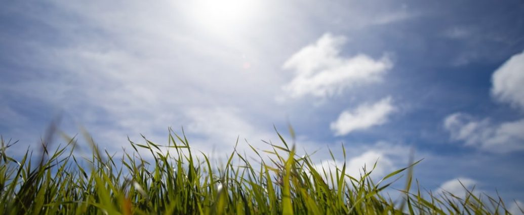 🌸 봄철 돌연사 주의보: '몸속 시한폭탄' 대동맥박리, 증상과 예방법 완벽 정리 ✅