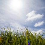 🌸 봄철 돌연사 주의보: '몸속 시한폭탄' 대동맥박리, 증상과 예방법 완벽 정리 ✅