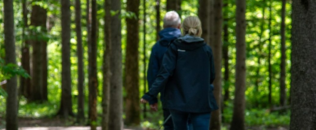 120세까지 건강하게! '당당한 노화' 비결: 소식·채식만이 답? 💡