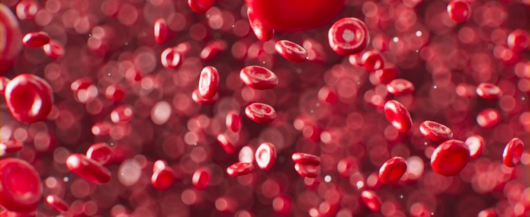 🚨 빈혈, 단순 피로 NO! 치매 위험 66% UP! 뇌 건강 적신호 💡