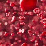 🚨 빈혈, 단순 피로 NO! 치매 위험 66% UP! 뇌 건강 적신호 💡