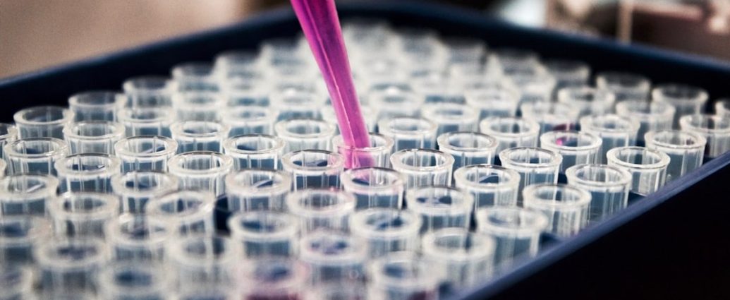 🦠 박쥐 유래 알파코로나바이러스, 인간 세포 침투 경로 발견! CEACAM6 수용체로 침투 가능성 확인 💡