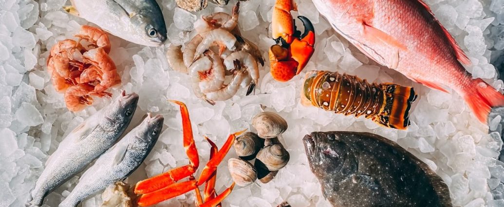 올해 첫 비브리오패혈증 환자 발생! 🚨 해산물 섭취, 이렇게 주의하세요!