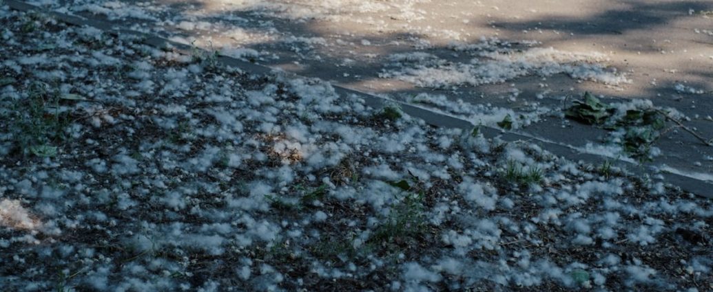 🌸 봄철 비염, 방치하면 천식까지? 소아 얼굴형 변화까지 유발하는 위험성 ✅