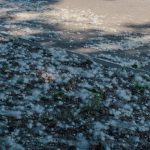 🌸 봄철 비염, 방치하면 천식까지? 소아 얼굴형 변화까지 유발하는 위험성 ✅