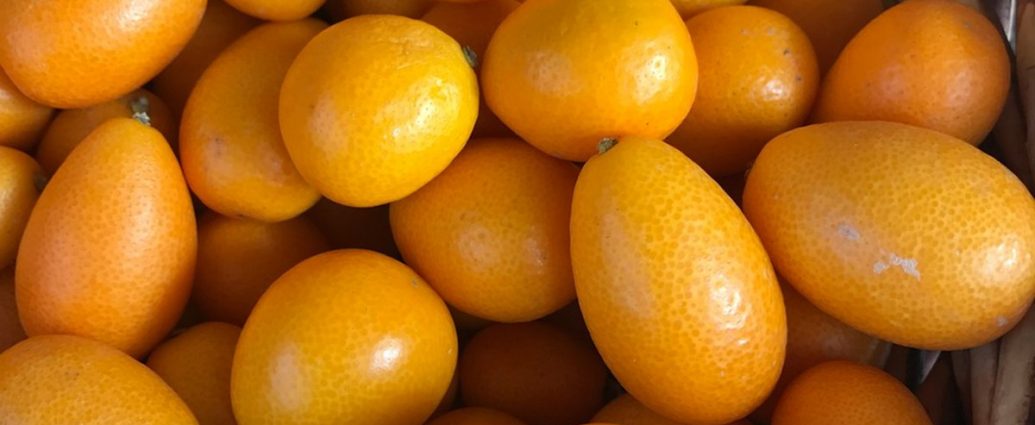 🍊 면역력 UP! 배우 이미도 추천 '금귤'의 놀라운 효능과 섭취법 ✅