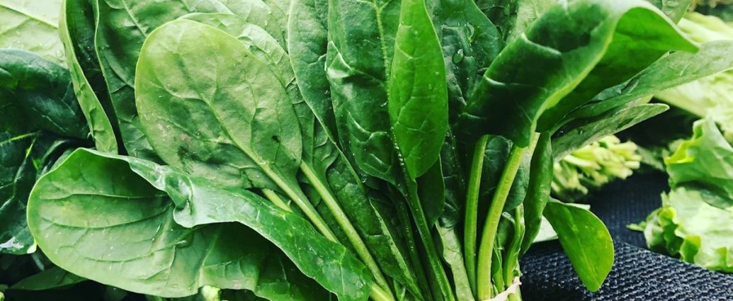 "그냥 나물인 줄 알았는데"⋯매일 먹으면 혈압·시력·치매까지 잡는 '이 채소'