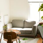 👃 "흡연만큼 해롭다?"… 의사가 집에 절대 안 두는 '이것'의 정체는? 💡