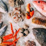 ⚠️ 비브리오패혈증 주의보! 치사율 40%, 올해 첫 사망자 발생…해산물 안전하게 즐기는 법 ✅