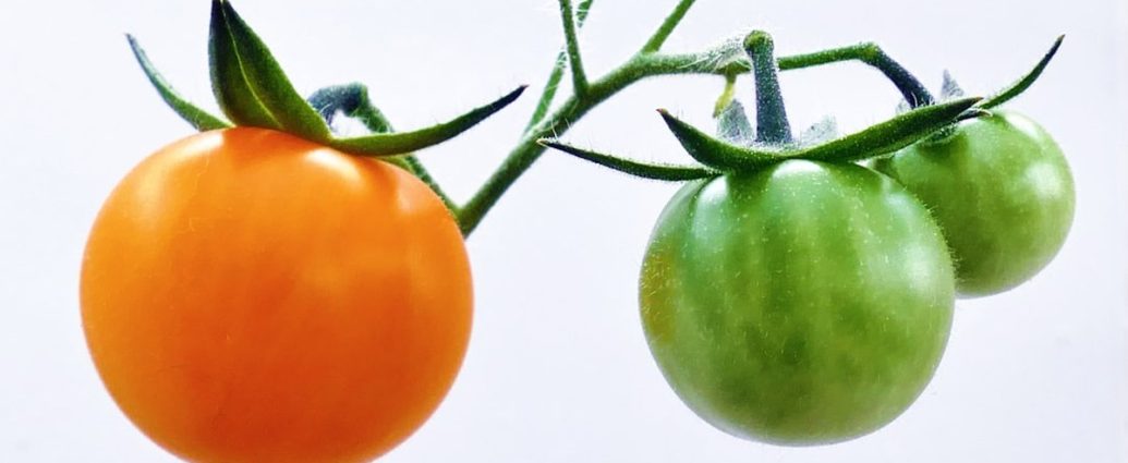 🍅 토마토 보관법: 꼭지 떼면 상해요? 신선함 2배 올리는 '꿀팁' 대공개! ✅