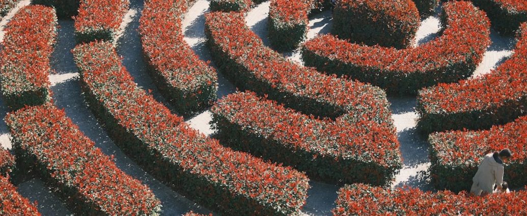 🚶‍♀️울주군, '비만 습관 몬스터' 잡는 걷기 챌린지! 건강한 습관 만들기 ✅