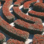 🚶‍♀️울주군, '비만 습관 몬스터' 잡는 걷기 챌린지! 건강한 습관 만들기 ✅