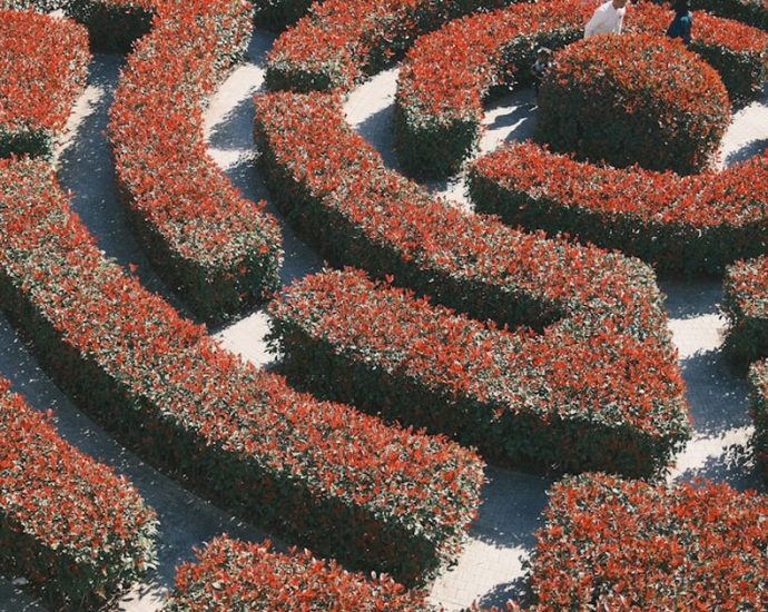🚶‍♀️울주군, '비만 습관 몬스터' 잡는 걷기 챌린지! 건강한 습관 만들기 ✅