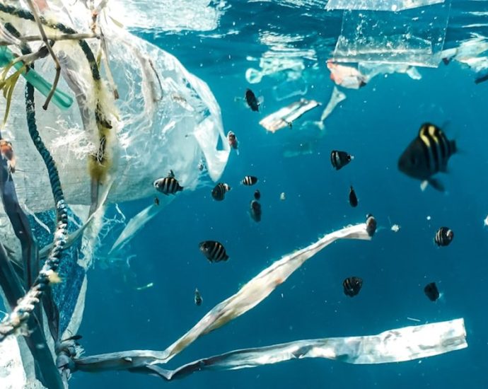 ⚠️ 플라스틱 속 '이 물질'이 조산의 주범? 200만 건과 연관된 충격 진실! 💡