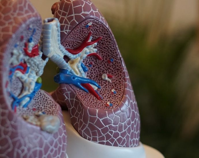 🚭️흡연자 95%가 걸리는 '소세포폐암', 치명적인 이유와 조기 발견 팁 ✅