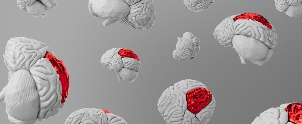 뇌, 복잡한 세상을 '평균'으로 읽는다! 시각 정보 처리 비밀 공개 ✅