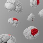 뇌, 복잡한 세상을 '평균'으로 읽는다! 시각 정보 처리 비밀 공개 ✅