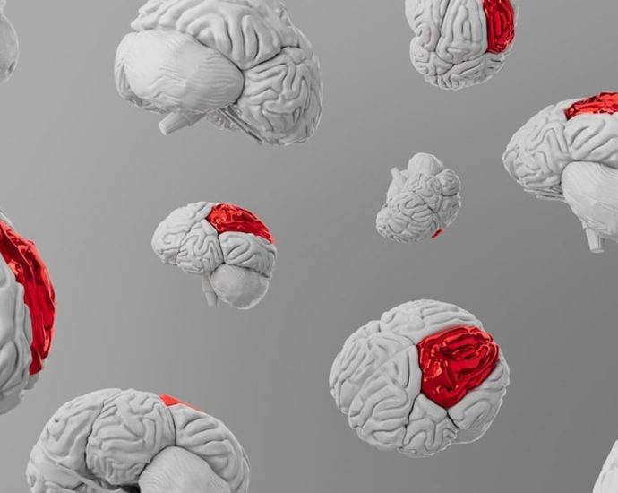 뇌, 복잡한 세상을 '평균'으로 읽는다! 시각 정보 처리 비밀 공개 ✅