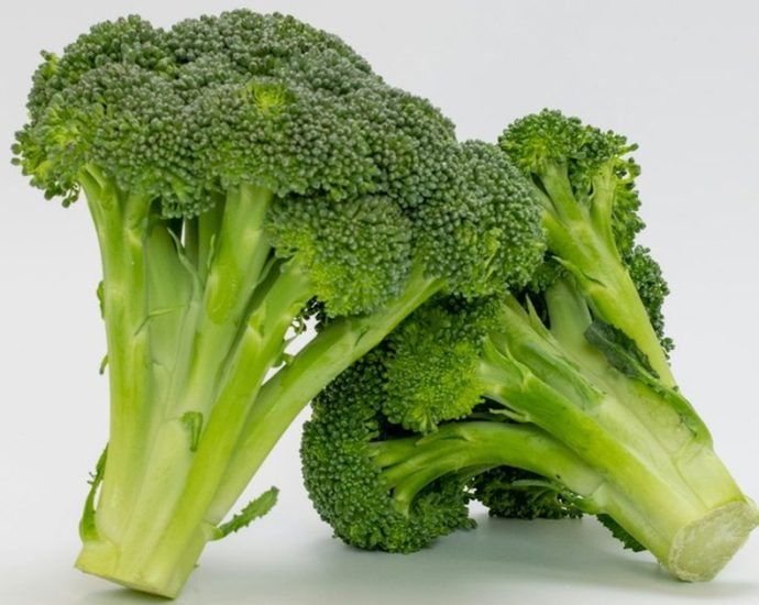 🥦 혈당 잡는 슈퍼푸드, 브로콜리! 염증·암세포까지 줄이는 비밀은? 💡